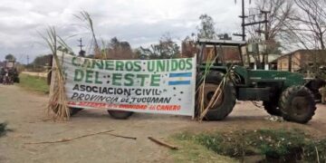 Tucumán teme que no se apruebe la prórroga de la Ley de Bicombustibles: “Sería una catástrofe”, evaluó el cañero Marcelo Fernández