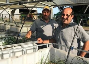 Los Testa certifican sus servicios desde 2015 y son los primeros contratistas con diploma: “Se trata de emprolijarnos día a día”, explican