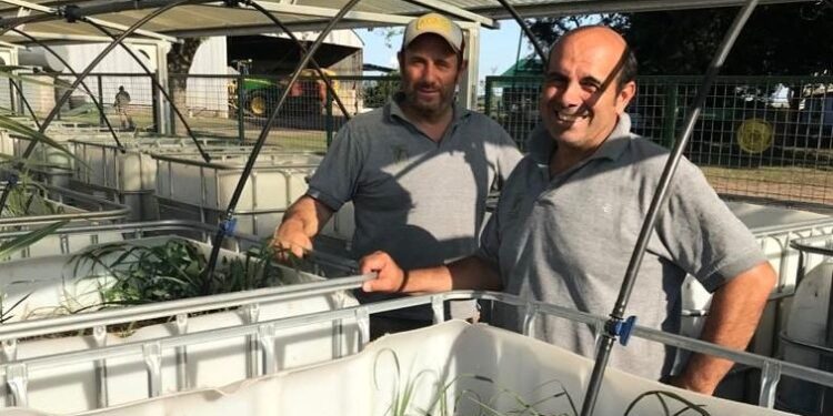 Los Testa certifican sus servicios desde 2015 y son los primeros contratistas con diploma: “Se trata de emprolijarnos día a día”, explican