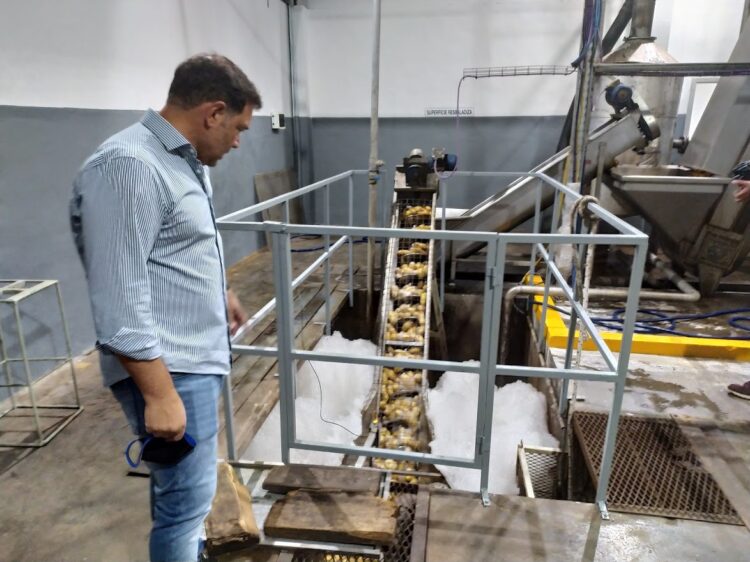 La mejor carrera del “Bocha” Ciantini: Agregarle valor a la papa compitiendo contra grandes multis y un Estado que no ayuda