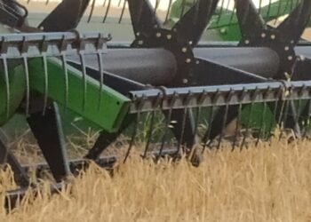 Increíble pero real: Por la suba de precios, la presión fiscal sobre los granos es menor ahora con Alberto que cuando Mauricio dejó el gobierno