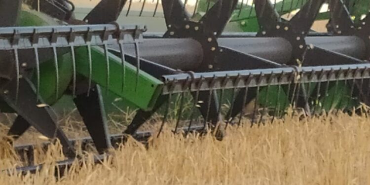 Increíble pero real: Por la suba de precios, la presión fiscal sobre los granos es menor ahora con Alberto que cuando Mauricio dejó el gobierno