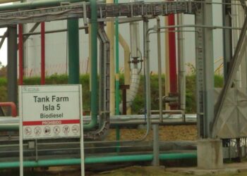 Claudio Molina: “Abandonar la política de biocombustibles en la Argentina representará un error histórico cuyo costo será enorme”