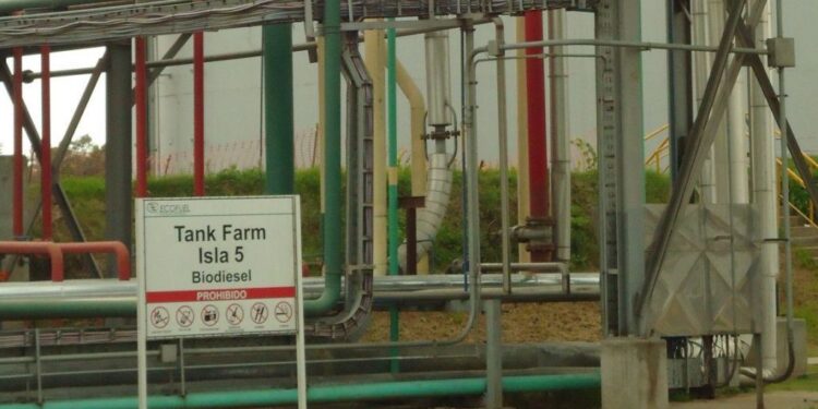 Claudio Molina: “Abandonar la política de biocombustibles en la Argentina representará un error histórico cuyo costo será enorme”