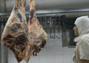 Alerta frigoríficos: darán de baja del RUCA a los que no ingresen al país todas las divisas generadas por exportaciones