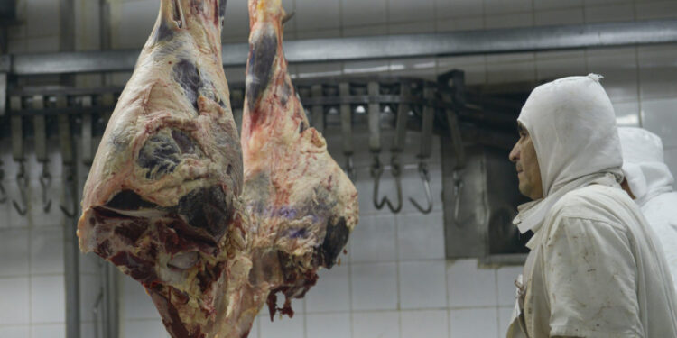 Alerta frigoríficos: darán de baja del RUCA a los que no ingresen al país todas las divisas generadas por exportaciones
