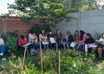 Rosana Gutiérrez trabaja para promover la provisión de semillas certificadas de árboles nativos: “Invitamos a abrir la mente y el corazón”