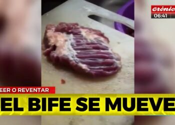 En los últimos dos meses se recompusieron de 22 a 43% los precios del ganado: Ahora se espera que toda esa suba se traslade a las carnicerías