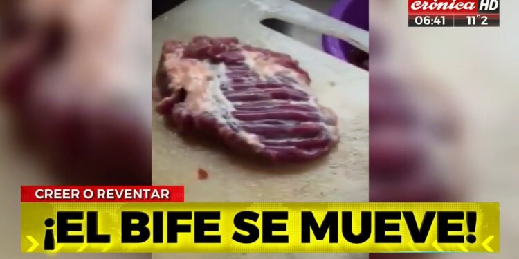 En los últimos dos meses se recompusieron de 22 a 43% los precios del ganado: Ahora se espera que toda esa suba se traslade a las carnicerías