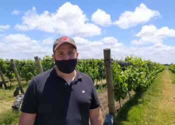 Una aventura productiva: El enólogo Ezequiel Ortego pasó de producir malbec en Mendoza a elaborar “vinos de mar” cerca de Chapadmalal