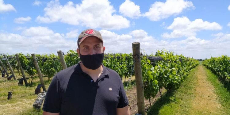 Una aventura productiva: El enólogo Ezequiel Ortego pasó de producir malbec en Mendoza a elaborar “vinos de mar” cerca de Chapadmalal