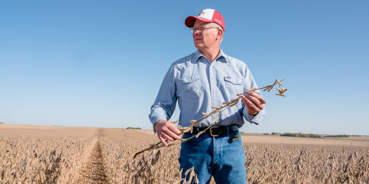 Es cada vez más firme un escenario de desabastecimiento de soja en Estados Unidos: Ya comprometió el 90% del saldo exportable