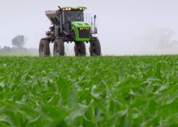 Este año se habría superado por primera vez el uso de 5 millones de toneladas de fertilizantes