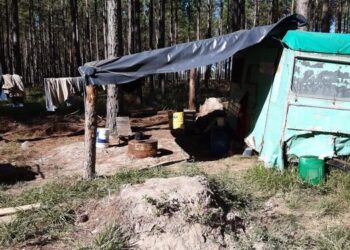 Indemnización histórica: Ocho trabajadores explotados en una forestación de Corrientes serán compensados con medio millón de pesos