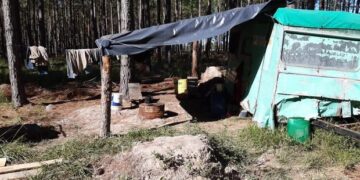 Indemnización histórica: Ocho trabajadores explotados en una forestación de Corrientes serán compensados con medio millón de pesos