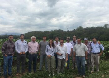 Emulando el modelo CREA, Martín Gana coordina en Salta el primer grupo de productores de tabaco