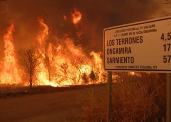 Más que una emergencia: La Nación dictó la situación de “desastre agropecuario” para los campos incendiados de Córdoba