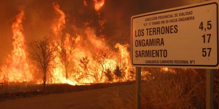 Más que una emergencia: La Nación dictó la situación de “desastre agropecuario” para los campos incendiados de Córdoba