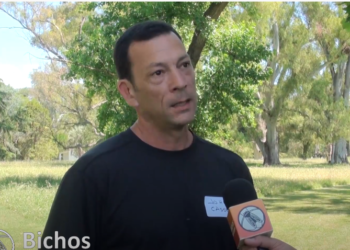 Se acabó la agricultura por receta: Johnny Cassera cuenta de qué se trata el proceso de intensificación denominado “Siempre Verde”