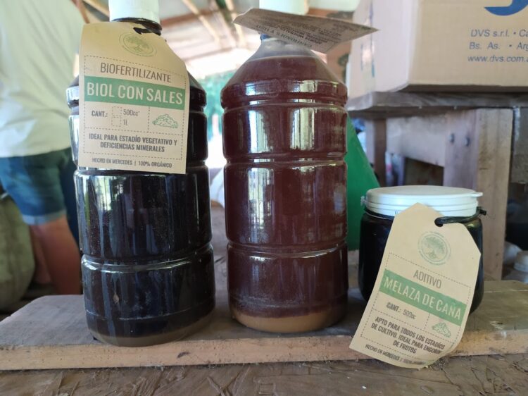 Juan Gatti produce y enseña agroecología en Mercedes: “Tengo todo lo que quiero y si hace falta algo hacemos intercambio”