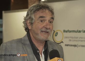 AgroEmpresas: Arcor ajusta mientras Julio Ferrarotti se lanza al negocio de la soja no transgénica
