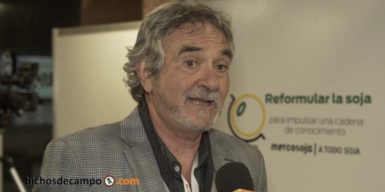 AgroEmpresas: Arcor ajusta mientras Julio Ferrarotti se lanza al negocio de la soja no transgénica