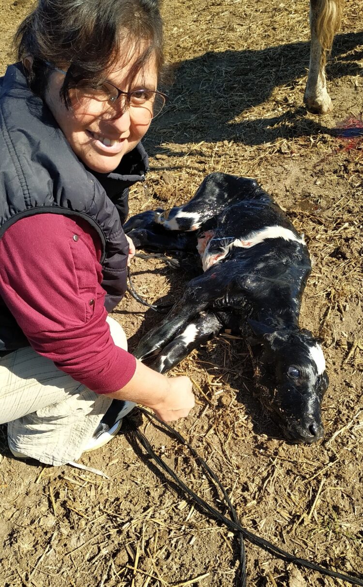 Ejemplo de superación, Lidia Sánchez trabaja en el tambo mientras estudia una tecnicatura: “Campo, vacas, terneros y mis hijos. Este es mi mundo”