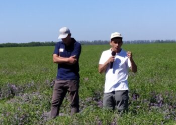 Marcelo Arriola está a la búsqueda de una agricultura reparadora: “Debemos cambiar el sistema de producción antes de que la Naturaleza nos lo haga cambiar”