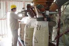 Sigue siendo altísima la capacidad ociosa que tiene la Argentina para moler su trigo