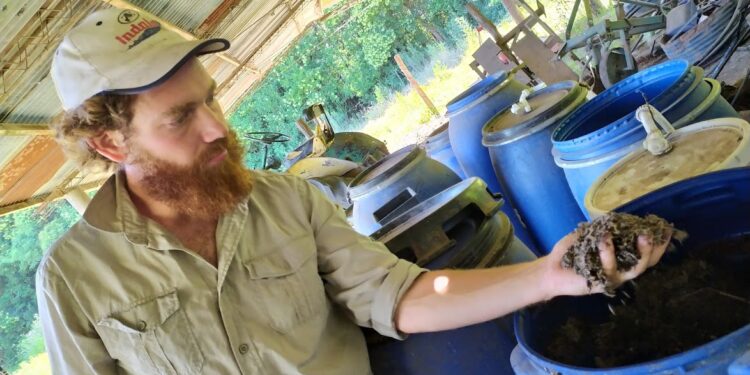 Pedro Spinelli es un “alquimista” de la agroecología: Fabrica biopreparados para recuperar los suelos de forma natural