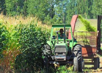 El Gobierno nacional tiene cada vez mayor injerencia sobre la política salarial de los trabajadores rurales