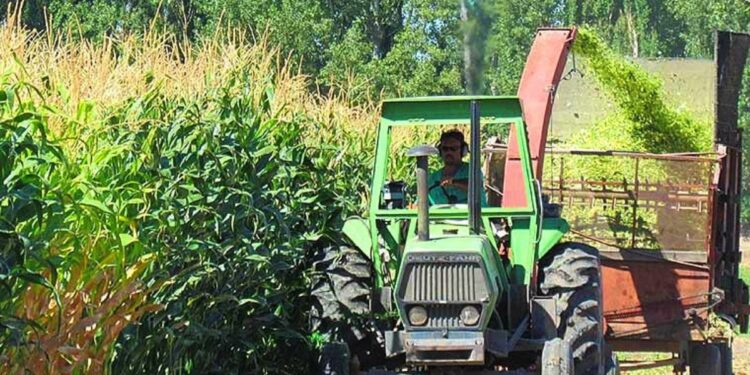 El Gobierno nacional tiene cada vez mayor injerencia sobre la política salarial de los trabajadores rurales