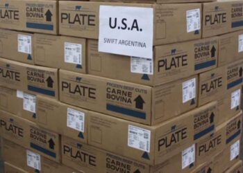 Tratando de aumentar el valor de las exportaciones, desde 2022 habrá nuevos criterios para la cuota de carne vacuna para Estados Unidos