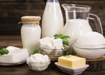 Los mitos de la leche: Científicos analizaron más de 1500 estudios para derribar falsas creencias sobre la ingesta de lácteos