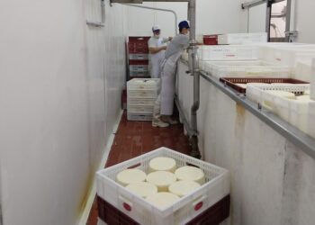 Las pymes lácteas amenazan dejar los acuerdos de precios si no se les autorizan aumentos que compensen la suba de sus costos