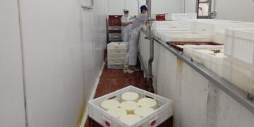 Las pymes lácteas amenazan dejar los acuerdos de precios si no se les autorizan aumentos que compensen la suba de sus costos