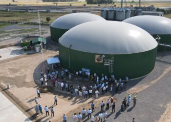 Con cama de pollo y purín de cerdo se alimenta a una nueva planta de biogás en General Alvear: Ya provee energía a la red nacional