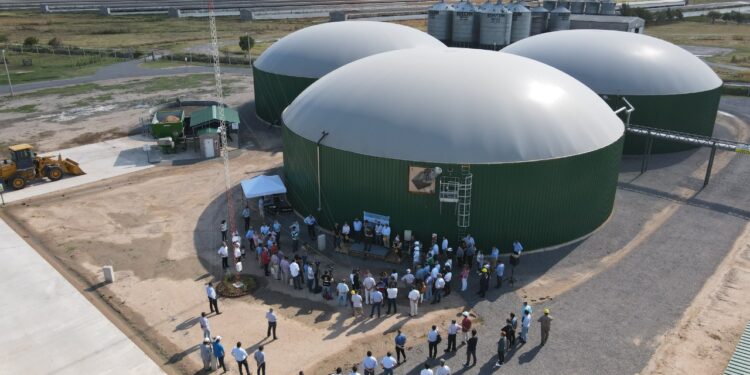 Con cama de pollo y purín de cerdo se alimenta a una nueva planta de biogás en General Alvear: Ya provee energía a la red nacional
