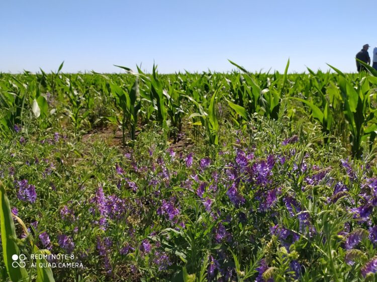Marcelo Arriola está a la búsqueda de una agricultura reparadora: “Debemos cambiar el sistema de producción antes de que la Naturaleza nos lo haga cambiar”