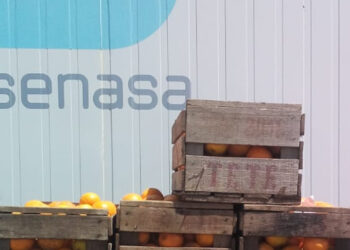 El Senasa promete mayores controles sobre la red de centros para tratamientos cuarentenarios