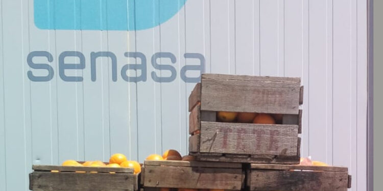 El Senasa promete mayores controles sobre la red de centros para tratamientos cuarentenarios