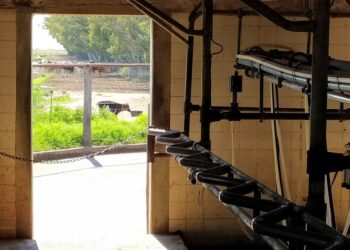 La concentración lechera goza de buena salud: La mitad de los tambos produce menos del 15% de la leche y hay 500 que aportan casi el 30%