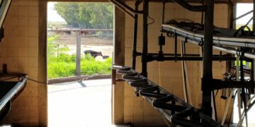 La concentración lechera goza de buena salud: La mitad de los tambos produce menos del 15% de la leche y hay 500 que aportan casi el 30%