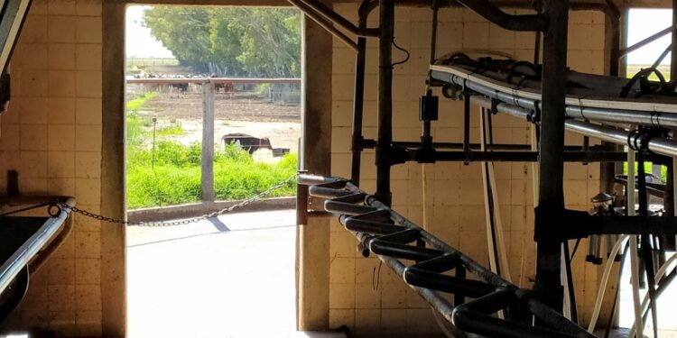 La concentración lechera goza de buena salud: La mitad de los tambos produce menos del 15% de la leche y hay 500 que aportan casi el 30%