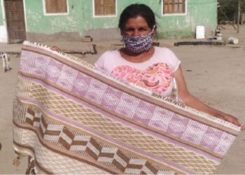 El algodón santiagueño “agroecológico” se suma al catalogo de fibras textiles que promueve el INTA