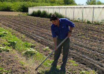 La UTT sigue inaugurando colonias agroecológicas para pequeños productores: ¿Cómo funciona la primera experiencia de este tipo en Jáuregui?