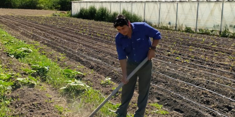 La UTT sigue inaugurando colonias agroecológicas para pequeños productores: ¿Cómo funciona la primera experiencia de este tipo en Jáuregui?