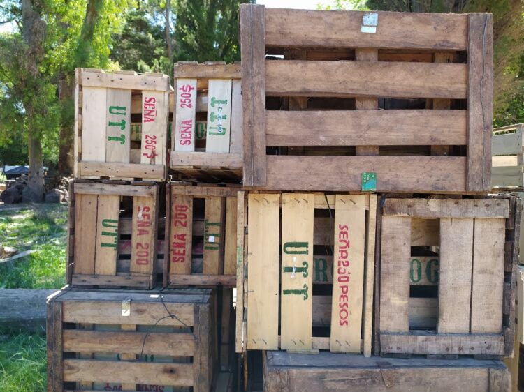 La UTT sigue inaugurando colonias agroecológicas para pequeños productores: ¿Cómo funciona la primera experiencia de este tipo en Jáuregui?