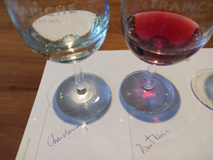 Una aventura productiva: El enólogo Ezequiel Ortego pasó de producir malbec en Mendoza a elaborar “vinos de mar” cerca de Chapadmalal