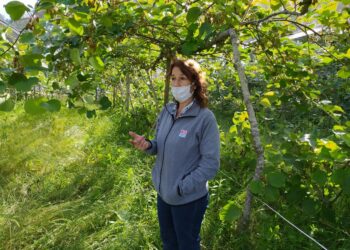 Alejandra Yommi, del INTA, revela los secretos del kiwi en el área de Mar del Plata, la nueva gran zona productora de esa fruta
